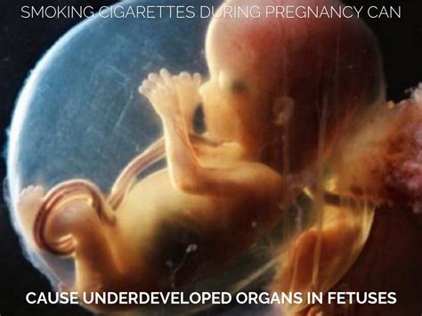Smoking Fetal Development By Antonia Portelos