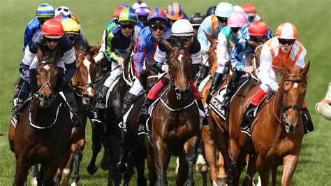 melbourne cup  results vow  declare finishing order winner