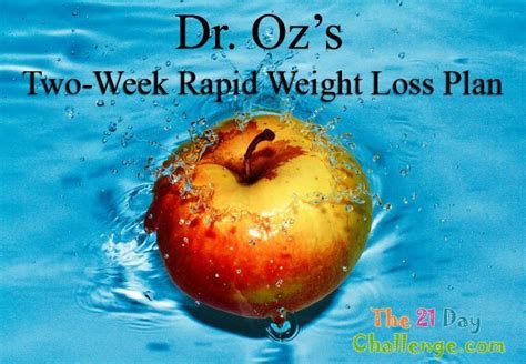 dr ozs  week rapid weight loss plan top