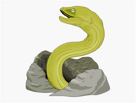 eel clip art green moray eel drawing  transparent clipart