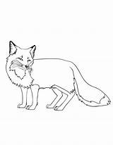 Fox Coloring Pages Printable Kids Bestcoloringpagesforkids Print sketch template