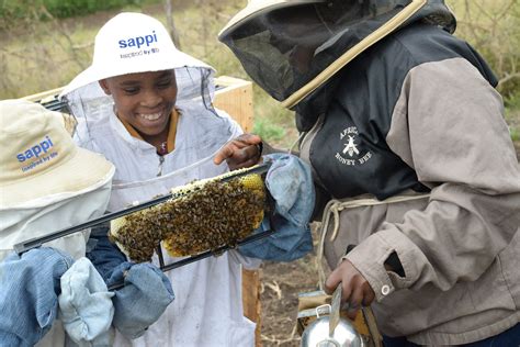 the rise of black south african bee farmers fast forward ozy