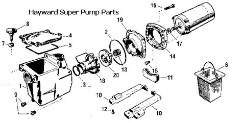 hayward super pump troubleshooting repair guide