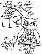 Owls Pages Kids Coloring Fun sketch template