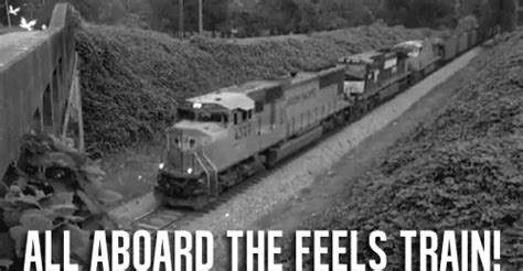 All Aboard The Feels Train  Train Feels Emotions