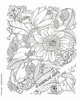 Coloring Pages Adults Adult Printable Difficult Flowers Color Abstract Flower Advanced Print Sheets Only Drawing Book Realistic Hard Hops Complex sketch template