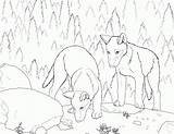 Pups Coloringhome Wolves Pigs sketch template