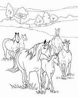 Coloriage Cheval Ausmalbilder Pferde Breyer Prairie Herd Colorier Dessin Imprimer Ancenscp Breyerhorses Getdrawings Schleich sketch template