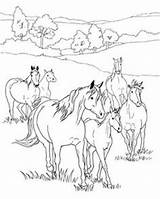 Coloriage Cheval Animaux Ausmalbilder Breyer Pferde Sheets Colorier Herd Worksheets Enfant Adulte Foal Realistic Zeichnen Ancenscp Joyeux Coloriages Noël Tekeningen sketch template