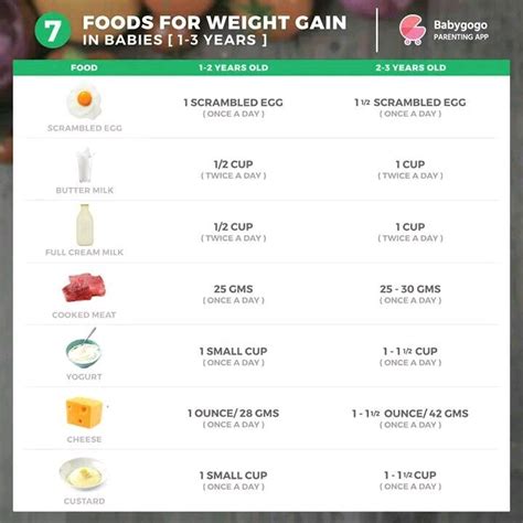 healthy weight gain daily diet chart   years toddler