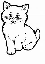 Cat Coloring Pages Cats Printable Colouring Color Sheets Sheet Kitten Print Drawing Coloringpages1001 Kitty Cute Pet Kids Chat Cartoon Colour sketch template
