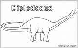 Diplodocus Pages Coloring Color Online sketch template