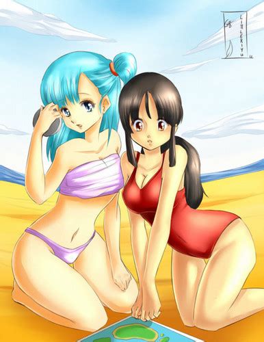 Dragon Ball Females Images Bulma And Chichi At The Beach