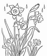 Coloring Pages Pond Spring Flower Speed Boat Comments Library Popular Hibernation Coloringhome sketch template