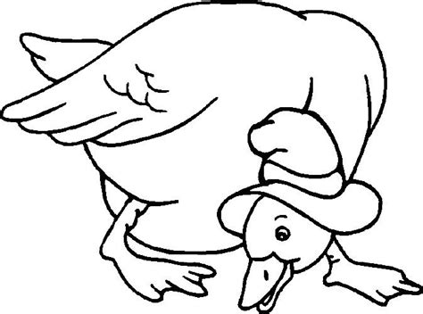 big coloring pages  animals  coloring pages  print  color