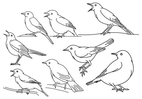 bird outline vector art icons  graphics