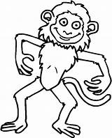 Scimmie Stampare sketch template