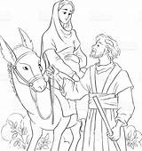 Bethlehem Donkey Travelling Religiose Glum Nativity Trevisan sketch template
