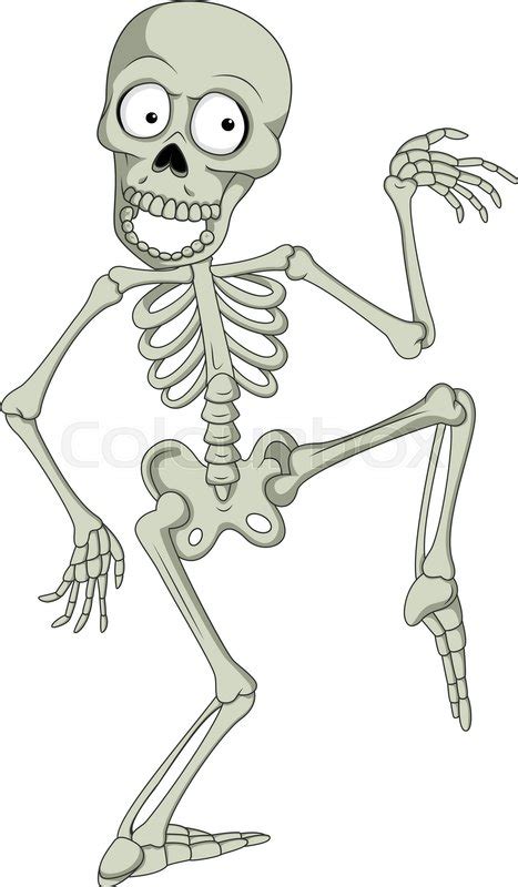 vector illustration of cartoon funny human skeleton