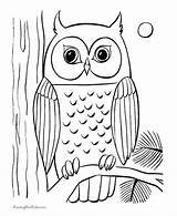 Chouette Chouettes Hibou Owl Adulte Facile Oiseaux sketch template