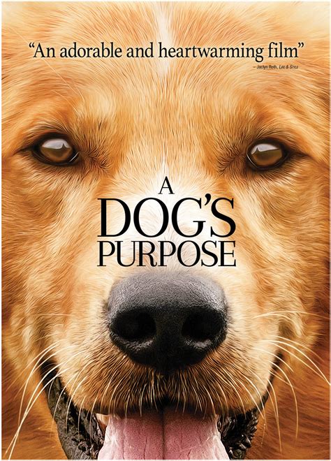 dogs purpose dvd   buy