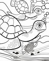 Sheets Pauletpaula Turtles sketch template