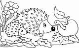 Herbst Malvorlagen Hedgehog Coloring Drachen Hedgehogs Caterpillar Einzigartig Exklusiv Bulkcolor Meet sketch template