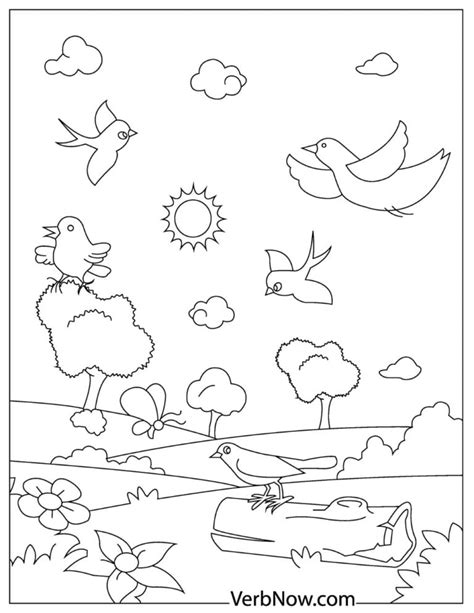 bird coloring pages   printable  verbnow