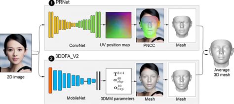 the architecture of 3d face reconstruction method different color