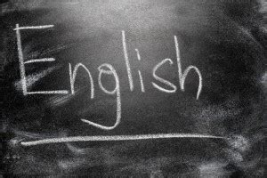 surprising facts   english languageelt learning journeys