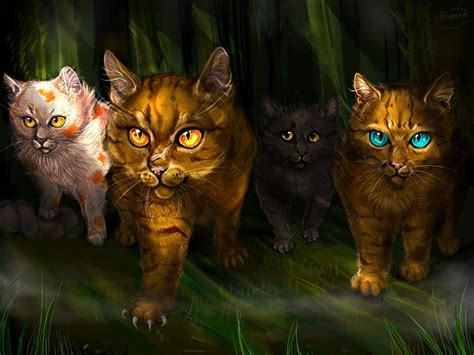 evil  coming warrior cats villains  stomakot  deviantart