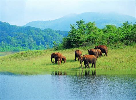 top  wildlife sanctuaries  kerala