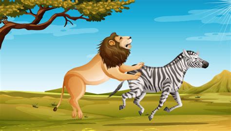 lion hunting illustrations royalty free vector graphics and clip art