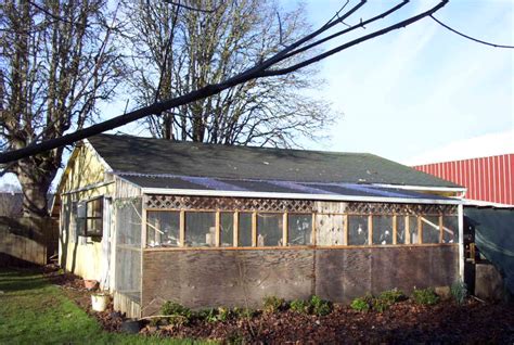 splendid bourke bird blog bird aviaries outdoor  indoor