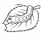 Oruga Lagarta Bruco Chenille Comiendo Caterpillar Mange Colorier Orugas Mastica Iluminar Lombrico Menjant Eruga Worms Acolore Milho Worm Insectos Taturana sketch template
