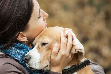 promoting  benefits  pet ownership vet practice magazine