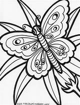 Kleurplaat Vlinder sketch template