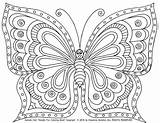 Intricate Butterflies Zentangle sketch template