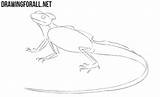 Lizard Draw Basilisk Drawingforall Crooked Limbs Fingers Thicken Mouth Neck Eye Head Long Next Step sketch template