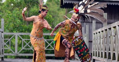 penjelasan berbagai macam baju adat dayak budayanesia
