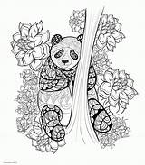 Coloring Adults Pages Animal Panda Printable Adult Animals Print Colouring Sheets Look Other sketch template