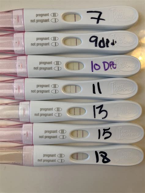 pregnancy test line progression first response pregnancy