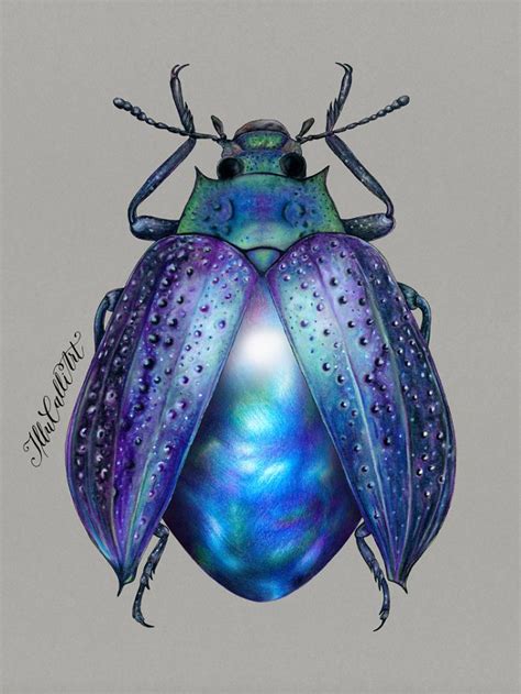 drew beetles  hide colourful minerals   shiny wing cases beetle art