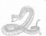Drawing Rattlesnake Viper Snake Skeleton Skull Draw Tribal Deviantart Head Tattoos Spine Tattoo Drawings Clipart Cliparts Amazing Library Sketches Clip sketch template