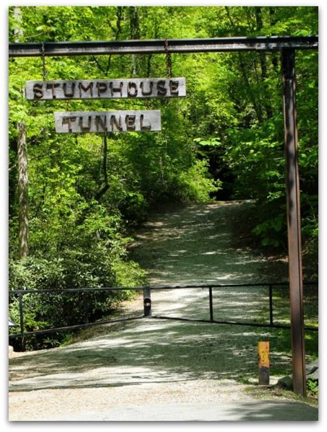 moms review stumphouse tunnel