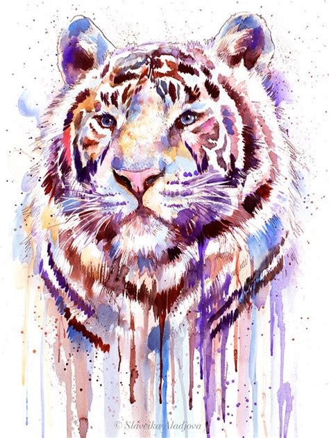 purple tiger watercolor painting print  slaveika aladjova etsy
