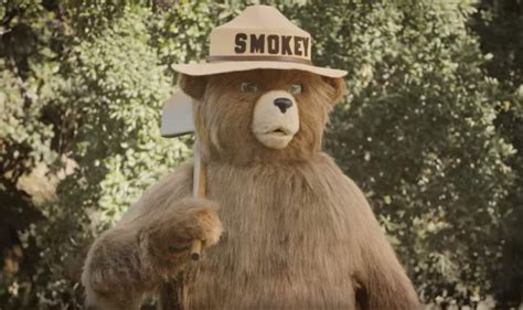 smokey bear wrong   beloved character   helped fuel catastrophic fires