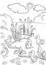 Coloring Grass Pages Green Getcolorings Getdrawings Colo Colorings sketch template