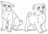 Akita Ginga Puppies Dog Puppy Drawing Lineart Coloring Deviantart Template sketch template