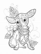 Pages Mandalas Elsharouni Perros Mandala Chiwawa Chihuahuas Pintar Petsza Professionally Packaged Downloaden Uitprinten sketch template